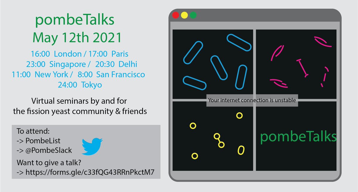 Veneta G (@venetag1) on Twitter photo 🚨next week's #pombeTalks 12th May 17h CET feature two wonderful talks: Sierra Cullati <a href="/Gould_Lab/">Gould Lab</a> on CK1 regulation through autophosphorylation
and Stephen Huisman, Brunner Lab on cell length regulation🚨 #pombe #science <a href="/PombeSlack/">PombeSlack</a> <a href="/ScotchCurran/">Scott Curran</a> <a href="/mpswaffer/">Matthew Swaffer</a> <a href="/Dey_Gautam/">Gautam Dey</a> 🚨next week's #pombeTalks 12th May 17h CET feature two wonderful talks: Sierra Cullati <a href="/Gould_Lab/">Gould Lab</a> on CK1 regulation through autophosphorylation
and Stephen Huisman, Brunner Lab on cell length regulation🚨 #pombe #science <a href="/PombeSlack/">PombeSlack</a> <a href="/ScotchCurran/">Scott Curran</a> <a href="/mpswaffer/">Matthew Swaffer</a> <a href="/Dey_Gautam/">Gautam Dey</a>
