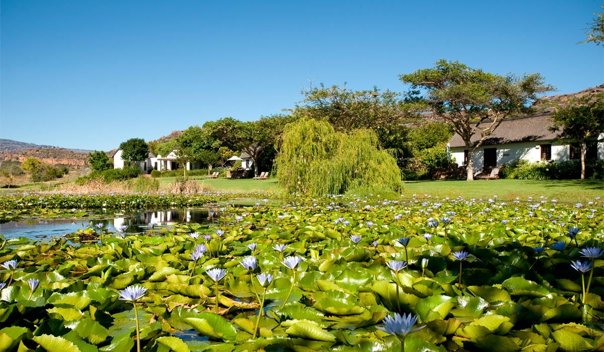 BushmansKloof's tweet photo. A stay at Bushmans Kloof is the perfect moment to enrich your mind and feed your soul through art, literature, nature and cultural history. Celebrate the Month of Mom with an array of spoils with our Two Night Breakaway.
https://t.co/fneBvZGwvu
#BushmansKloof #monthofmom https://t.co/KQKLUlvdBm