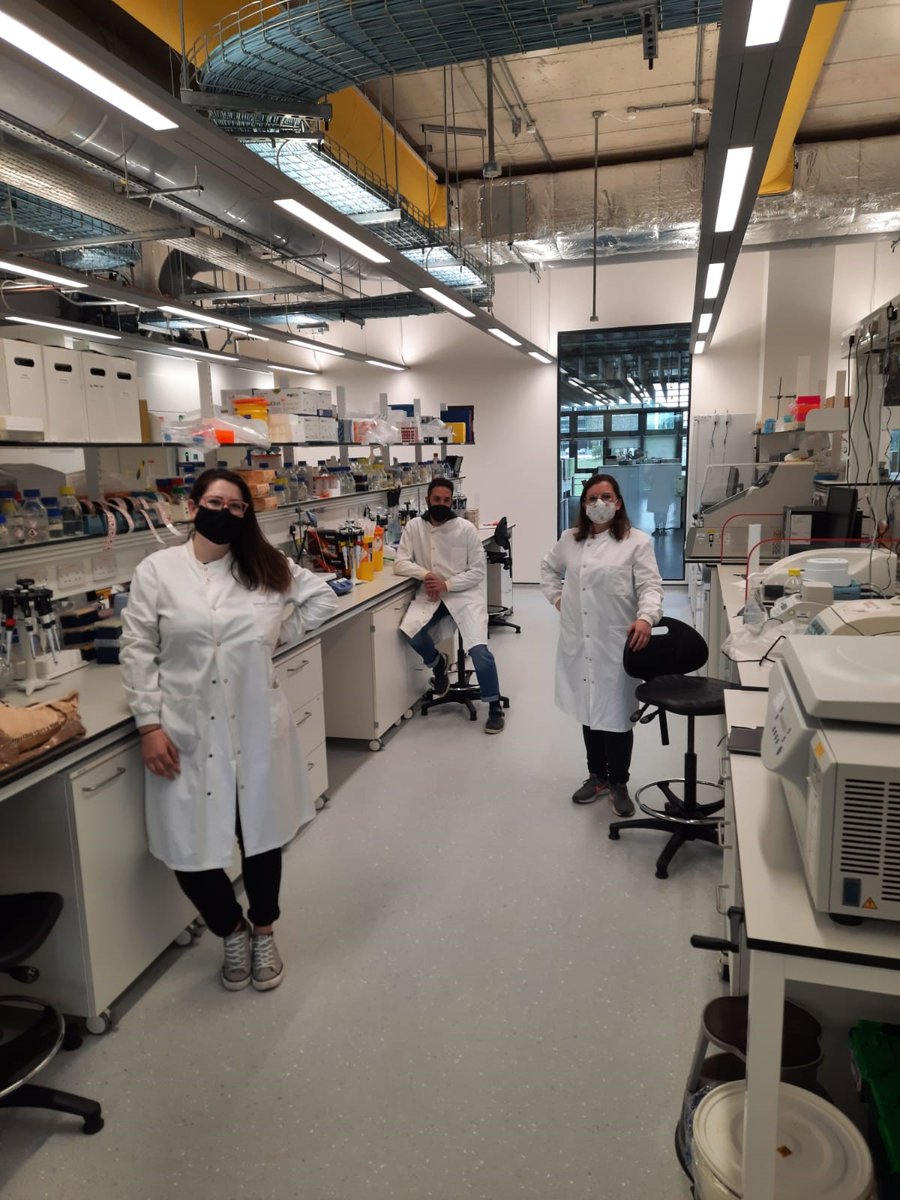 You should try to aim for 30g of fibre per day, but have you ever wondered what fibre actually is? 🤔

#PhD students Kathrin, <a href="/Raf_Col_/">Raffaele Colosimo</a>, and <a href="/MicrobioMolly/">Molly Millar</a> are doing a #QuadramTakeover to tell all! instagram.com/quadraminstitu… (1/3)