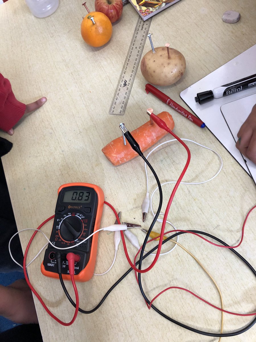 Y6Bps's tweet photo. 6DM have had an exciting morning investigating which fruit and vegetables conduct the most electricity. @Y6Bps https://t.co/GRMeSTVfe7