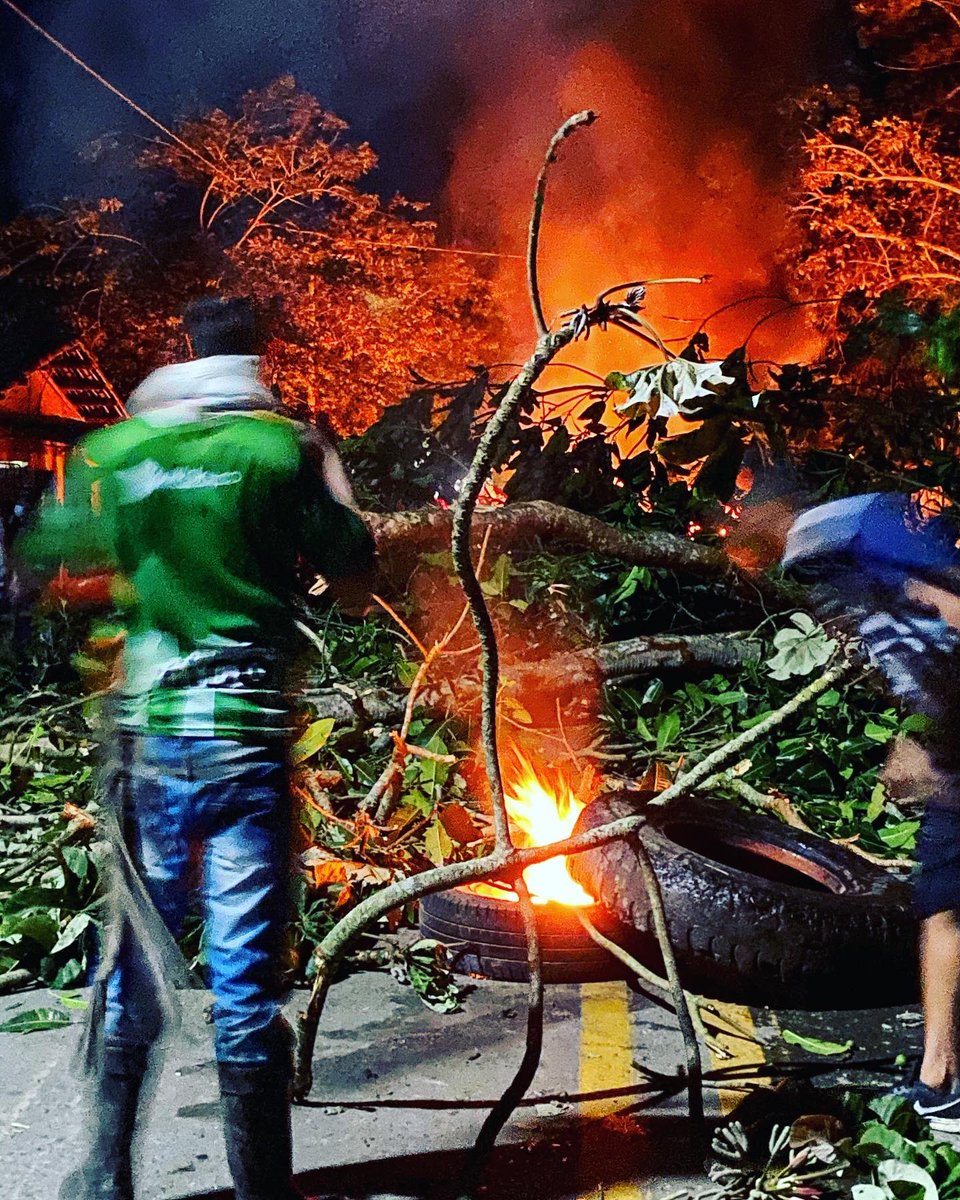 luigerman tweet media