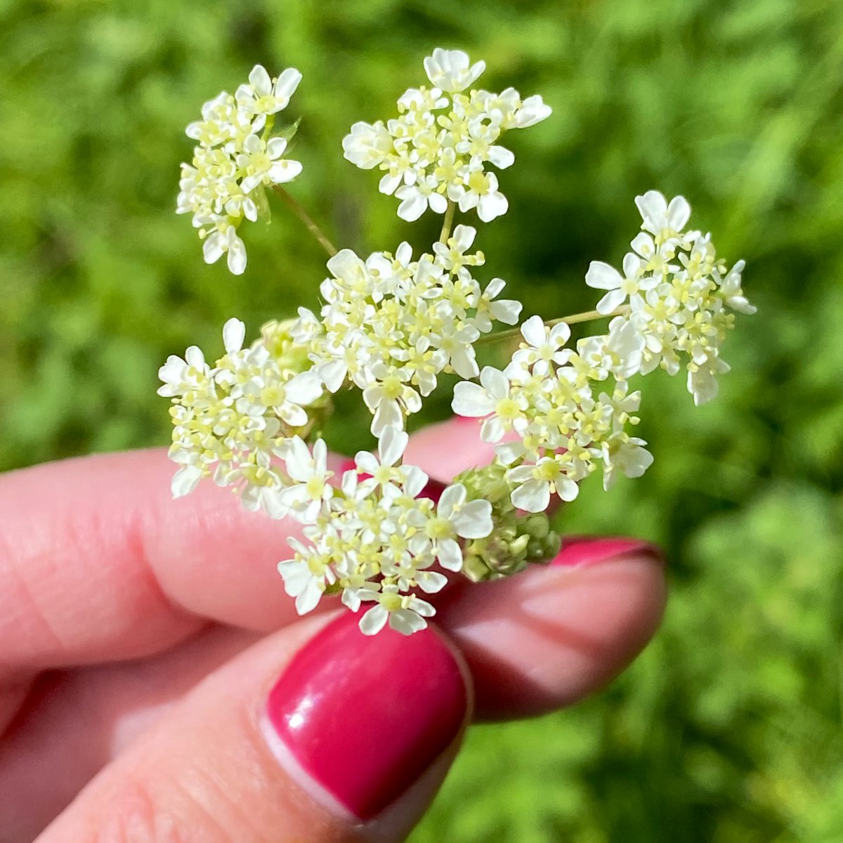 👋 Journos of Twitter. Writing about apps connecting people with nature for #MentalHealthAwarenessWeek? Hit us up! 📍100km green routes walked 💚 38k notes on our nature journal 🌱 000s stunning nature walks 📱+275k downloads #journorequest #prrequest #NationalWalkingMonth