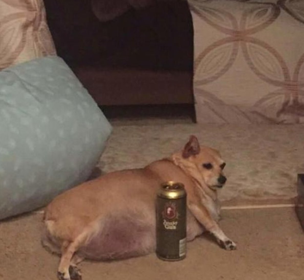 Paintvine tweet media