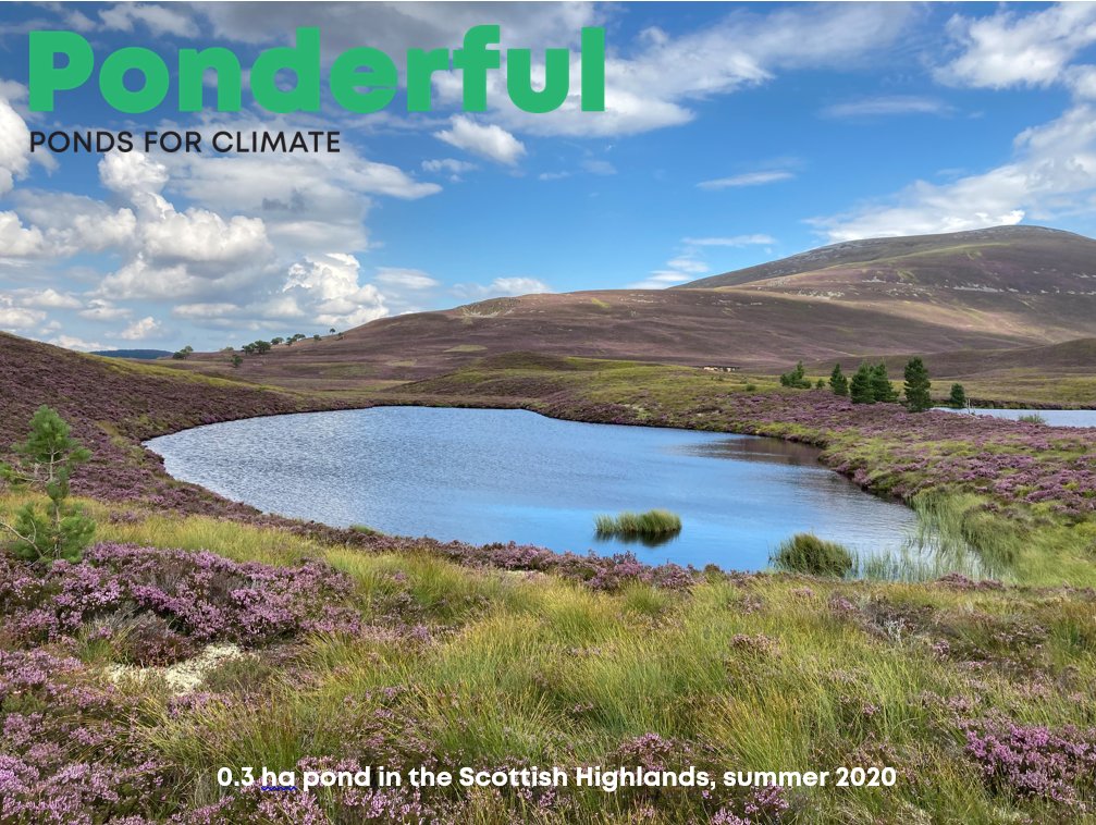 Ponderful (@ponds4climate) on Twitter photo Today and tomorrow #ponds4climate is joining the <a href="/BiodivERsA3/">BiodivERsA3</a> clustering meeting to discuss co-operation opportunities for protecting freshwater biodiversity under the impacts of climate change, providing critical new data on vital small waters. Today and tomorrow #ponds4climate is joining the <a href="/BiodivERsA3/">BiodivERsA3</a> clustering meeting to discuss co-operation opportunities for protecting freshwater biodiversity under the impacts of climate change, providing critical new data on vital small waters.