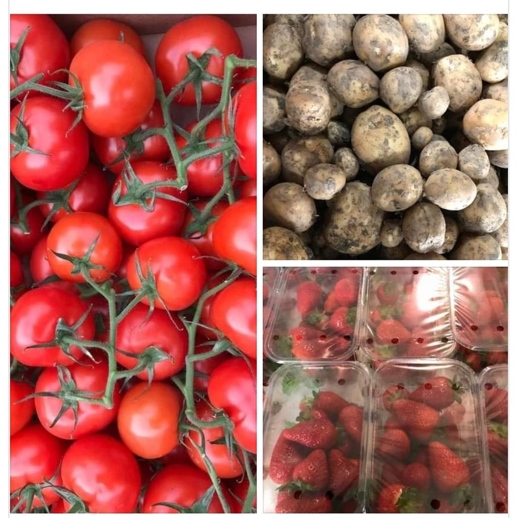 Norfolk Lavender Farm Shop opening times:
Mon - Fri: 9:30am - 4:30pm
Sat: 9am - 4:30pm
Sun: 10am - 4:30pm

New In:
English tomatoes, potatoes &amp; strawberries 

#NorfolkLavender #FarmShop #ShopLocal