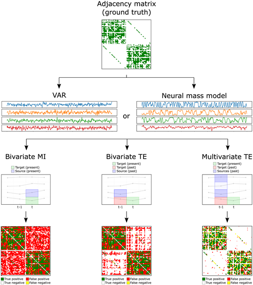 Network Neuroscience (2021) 5 (2): 373–404.

Inferring network properties from time series using transfer entropy and mutual information: Validation of multivariate versus bivariate approaches 

direct.mit.edu/netn/article/5…

by <a href="/novelli_leo/">Leonardo Novelli</a> &amp; <a href="/jlizier/">Joseph Lizier</a>
