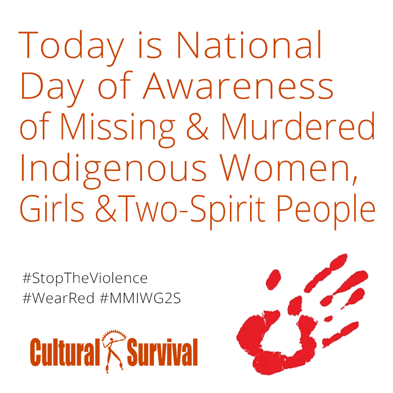 Action is needed NOW! Protect #Indigenouswomen, girls and Two-Spirits! #MMIWGActionNow #RenewVAWA #MMIW #MMIWG2S #MMIWG #NoMoreStolenSisters
#StoptheViolence