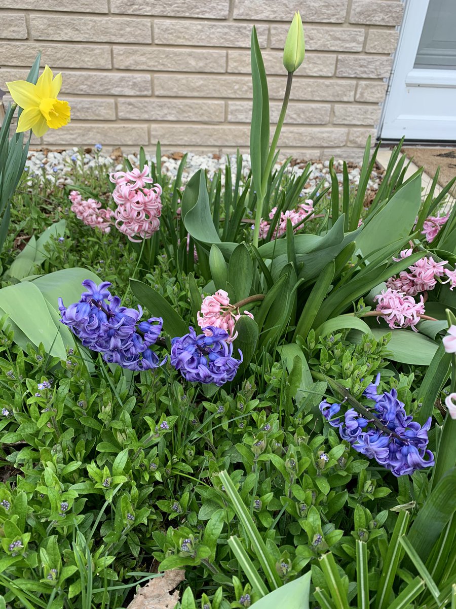 kaleigh potts (she/her) tweet media