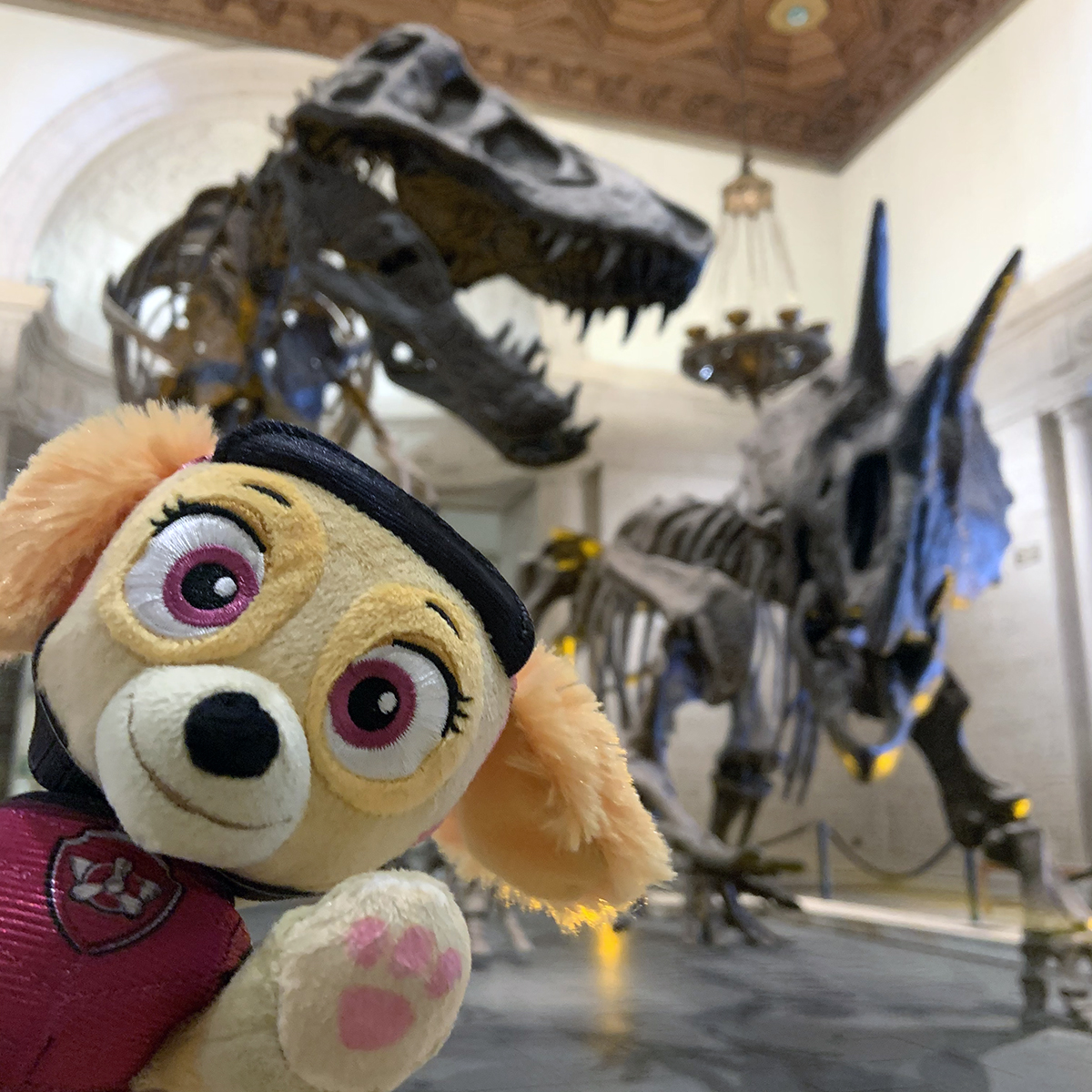 NHMLA's tweet photo. #PAWPatrol, ready for action! We’re visiting the #NHMLA for the very first time—who’s ready to join us? Let’s dino do this! 🐾  https://t.co/nHLBLEAMWF https://t.co/qsefpbxjOl