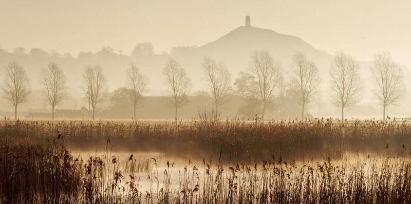 TheMendipsRock's tweet photo. Wednesday Walks👣⁠
⁠
Looking for somewhere new to explore?⁠
⁠
Then you might want to check out the amazing Avalon Marshes.⁠ They have amazing wildlife and nature to explore, the whole family will love it.
⁠
Find out more on our website.

#nature #freshair #walking #somerset https://t.co/FxDlr9ZpAu