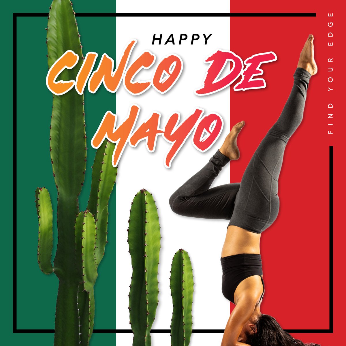 TruFusion tweet media