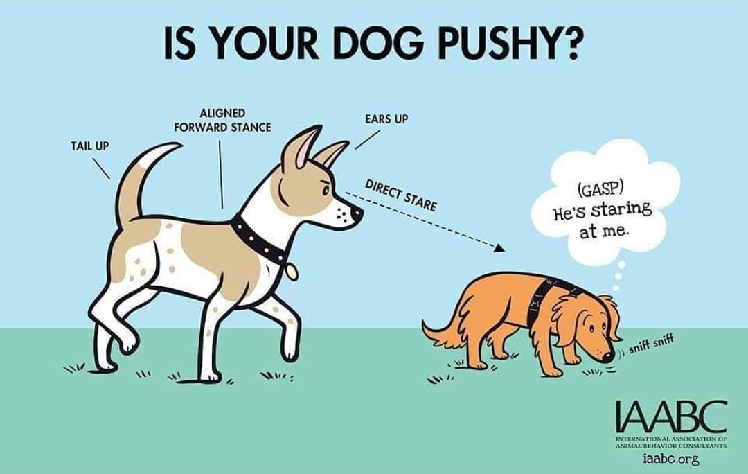 FreeDogTrainin5's tweet photo. https://t.co/I1bgU4XvsI