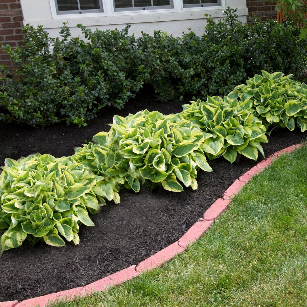 5Brotherslawn's tweet photo. Weeds are unsightly and, they take nutrients, water, and sunlight from the plants that you actually intend to grow. Adding mulch to your landscape creates a physical barrier to deter weeds.  Call 757-634-5695 for a free estimate. #5BrothersLawnCare #Mulch #Landscaping https://t.co/cJWFqNeISu