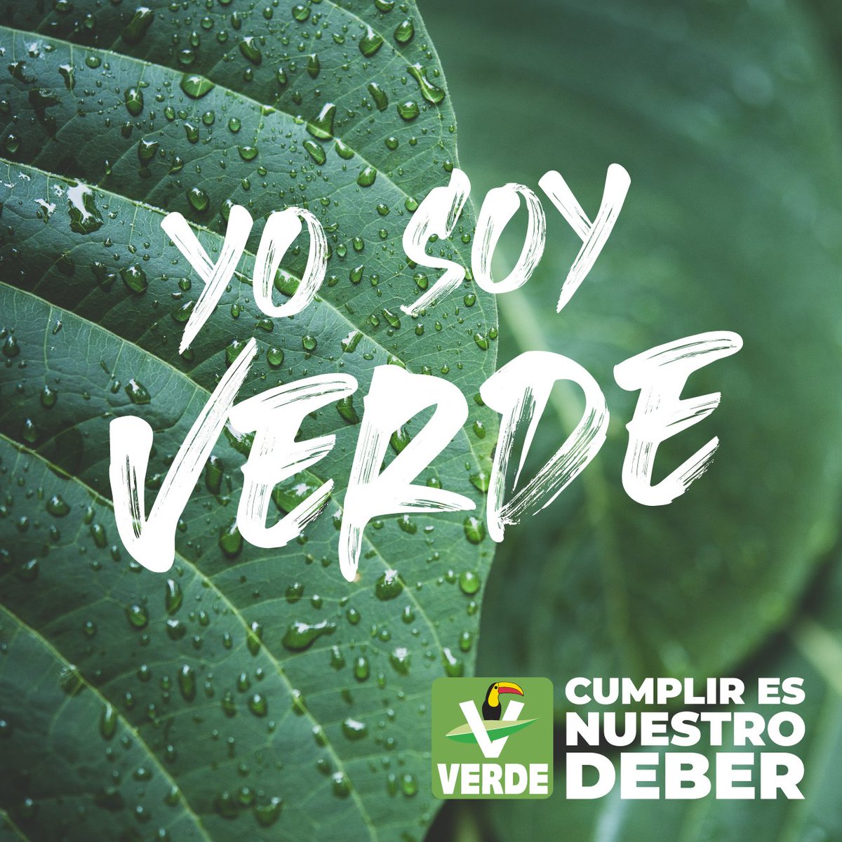 partidoverdemex's tweet photo. #YoSoyVerde https://t.co/cQgPD38m7M