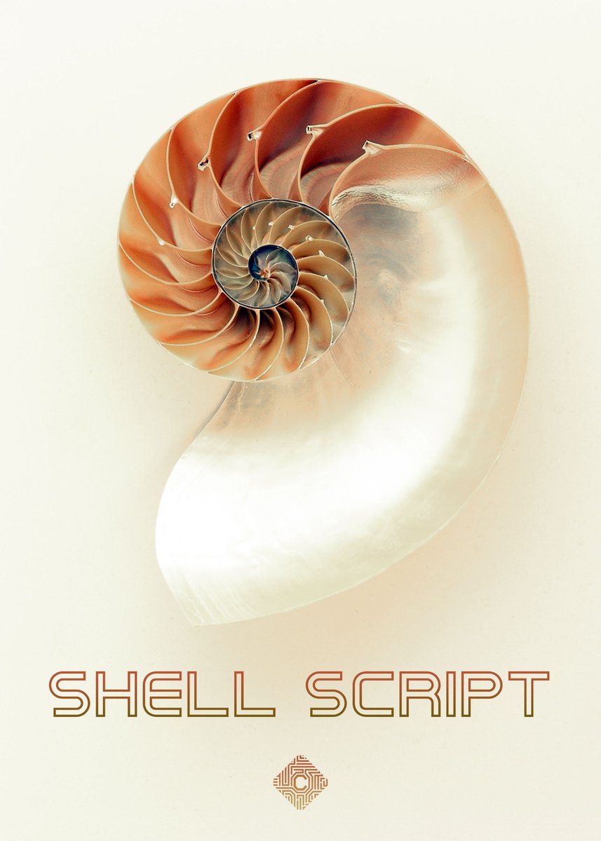 OrderOfCipher's tweet photo. Much like the shells from our slow moving amphibious friends, a Shell Script is key to the survival of your OS.
For tasks that are often repeated, shell scripts are usually used in a chain to link processes and save time. #Unix #ShellScript
.
.
#OrderoftheCipher #Programming https://t.co/jBfBo56Zai