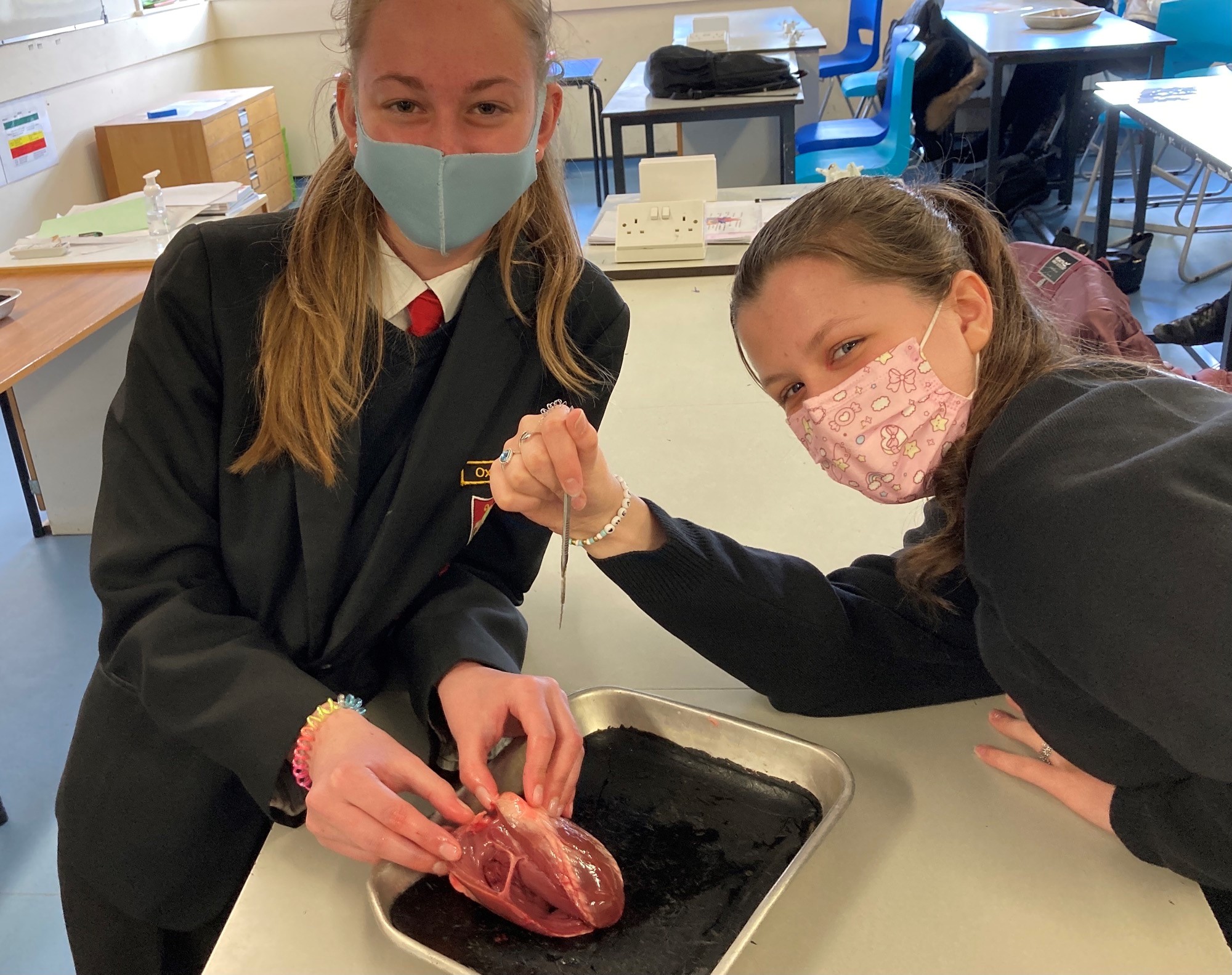 Oxted School on Twitter "After an intense week of Science assessments