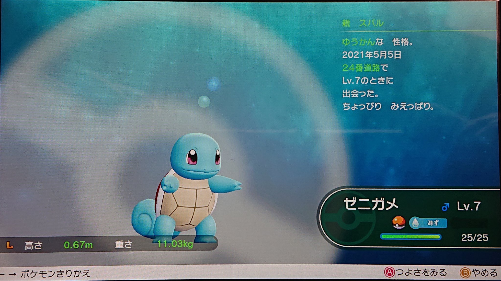 ツノクリボー 今日はゴールデンウィーク最後の日にピカブイで新しいポケモン ゼニガメ を手に入れました 32回以上連鎖して捕獲しましたが良いのが手に入りました 性格は勇敢でhp 攻撃 防御 特防は高いですが反面特攻は13なので14にして欲しかったです
