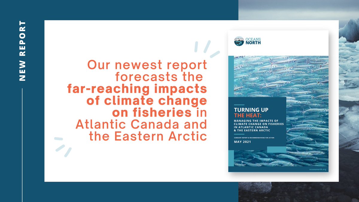 NEW REPORT: The #climate and the #ocean are closely linked. As #ClimateChange affects the ocean, it also affects the ecosystems and animals that live there—including species that support important commercial #fisheries in Atlantic Canada and the Eastern #Arctic.