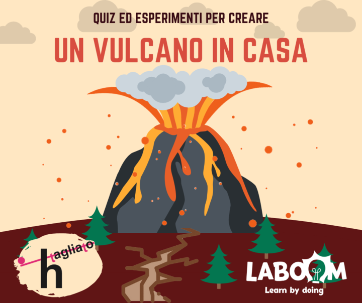 Filosofia, Mondo delle 🐝, MINECRAFT®, Coding, Esperimenti in casa 🧪ed ARTE - Scopri tutte le attività in programma 👉 mailchi.mp/laboom/laboomn…