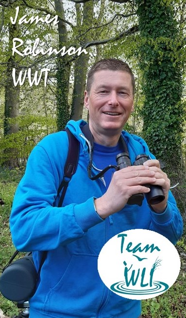 @global_birding Let’s meet Team WLI, taking part in #GlobalBigDay. James Robinson will be birding the east coast of the UK in Yorkshire, hoping for plenty of breeding seabirds and spring migrants #SINGFlySoar!
