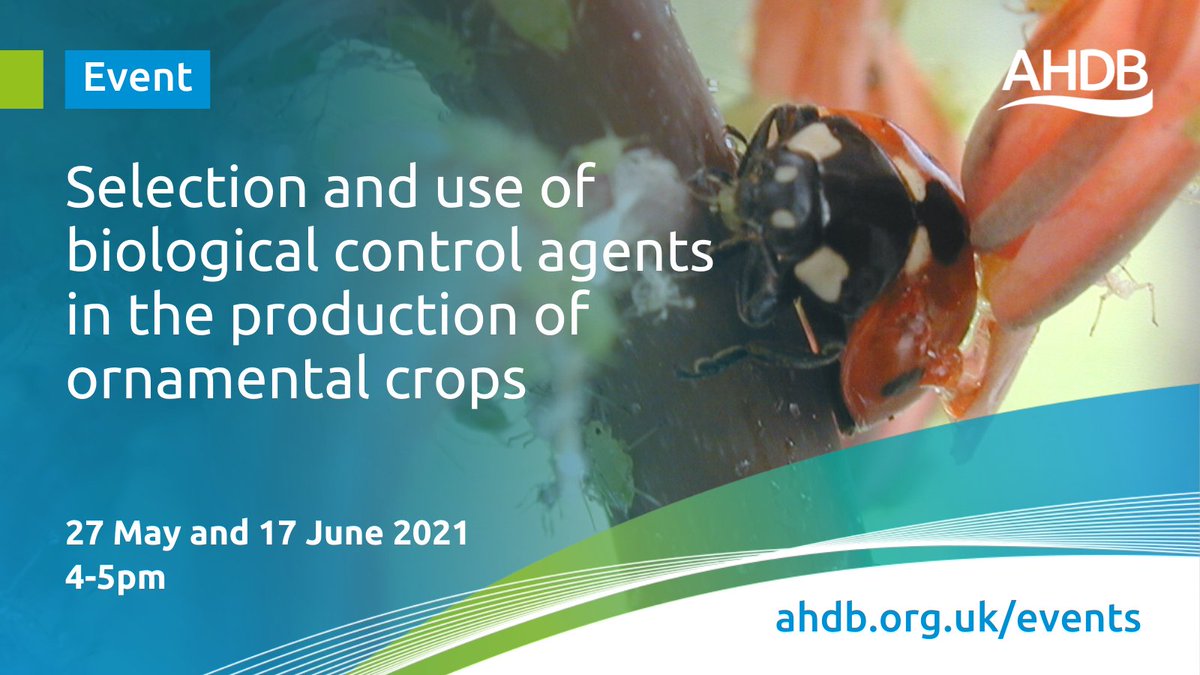 How can you effectively select &amp; use biological control agents to manage aphids, whiteflies, mites and thrips in ornamental crops? 

Neil Helyer, IPM specialist and growers will share their experiences in our upcoming webinars. 

Book your place now: ahdb.org.uk/events