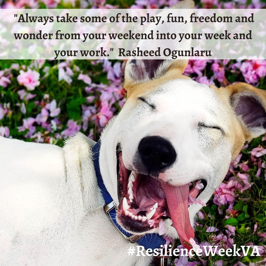 Richmond SCAN tweet media