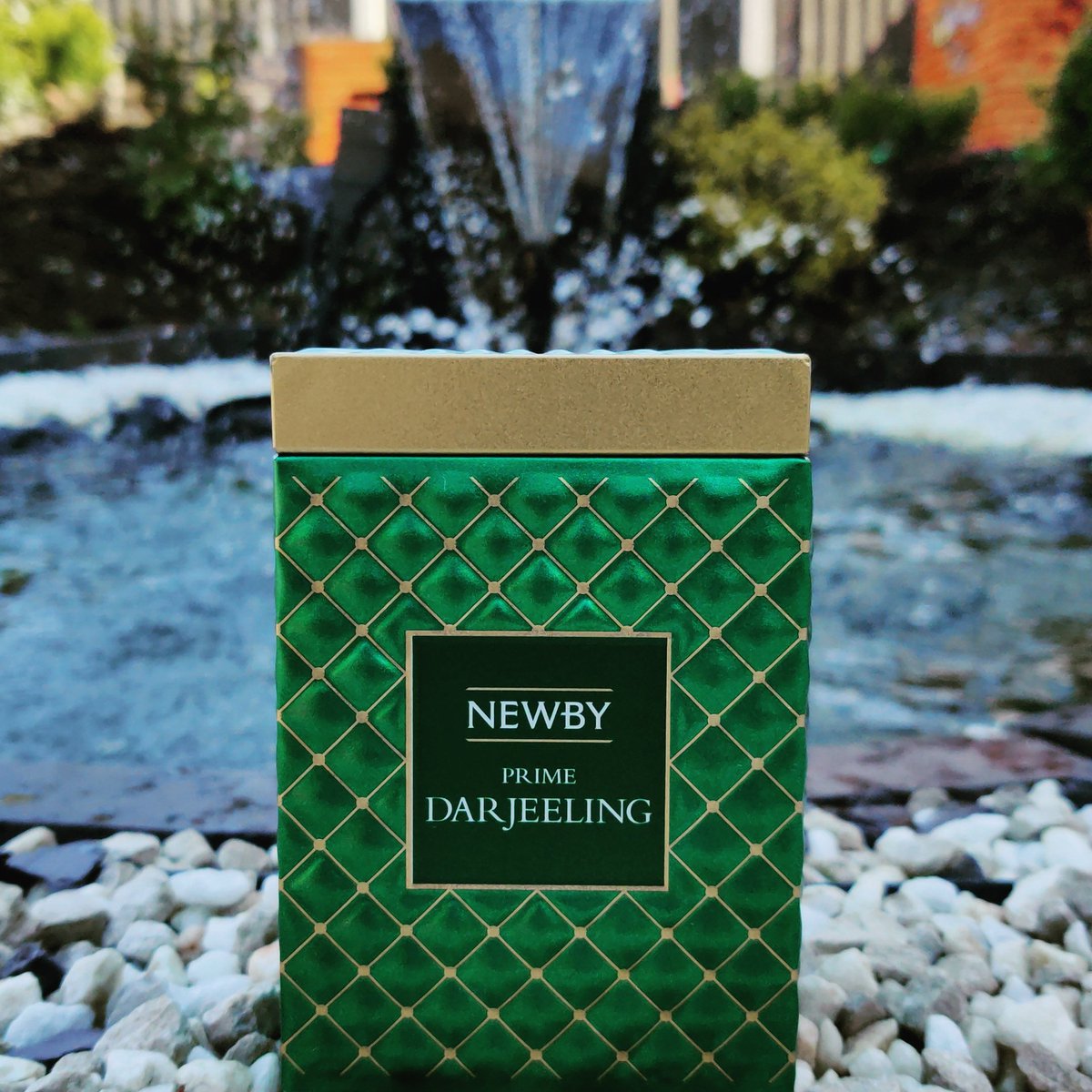 tessingtons's tweet image. Don't go chasing waterfalls, the perfect tea is right here. Try some beautiful Newby Prime Darjeeling from Tessingtons. #tea #darjeeling #NewbyTeas #looseleaftea tessingtons.com/tea/newby-teas…