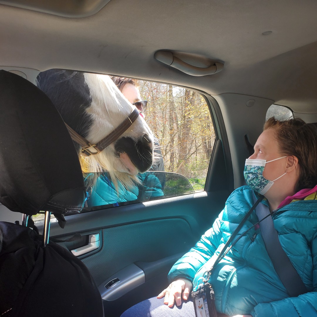 Thank you UpReach Therapeutic Equestrian Center, Inc. for a wonderful Drive-thru experience! 🐴❤️🐎

#OpportunityNetworks #UpReach #AnimalTherapy
