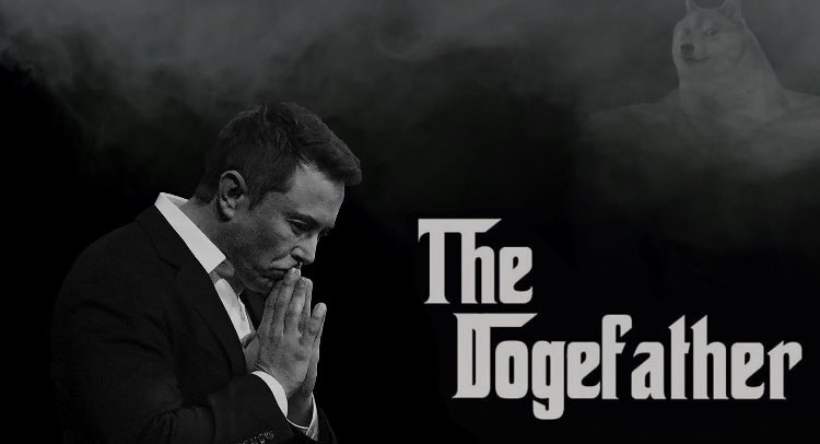 BERKANDESS's tweet photo. Sol avcum kaşınıyor lsldlfldldşşfşfşfşfl #ElonMusk #Dogecoins https://t.co/3Wj67Unmf9