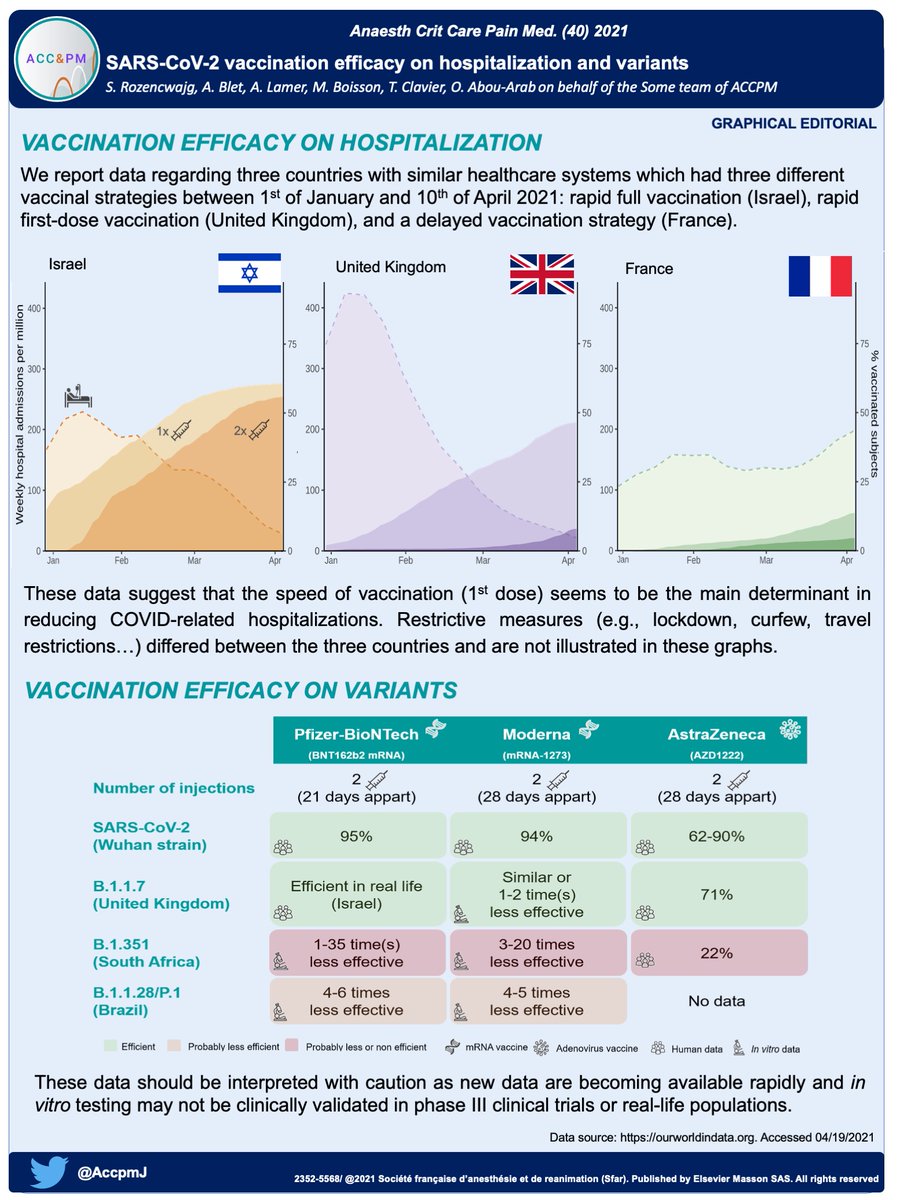 BletAlice's tweet photo. Check out our first #GraphicalEditorial with the SoMe  team @AccpmJ 👇👇👇👇👇

We compared 3 different vaccination strategies and 3 different outcomes....

The rapid first dose of vaccine seems to be the most effective on COVID19 hospitalizations ✅

Take a look at our video 📺 https://t.co/t9wdNIbFGn