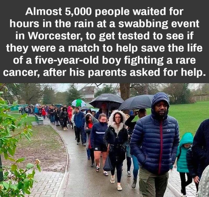 This is the most uplifting thing I've read in long, long time. The human spirit never fails to shine even in these dark Covid days. 🙏 They find a match. 🙏
