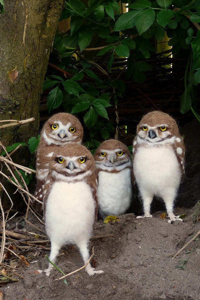 why do these owls look like the north jersey mafia?
