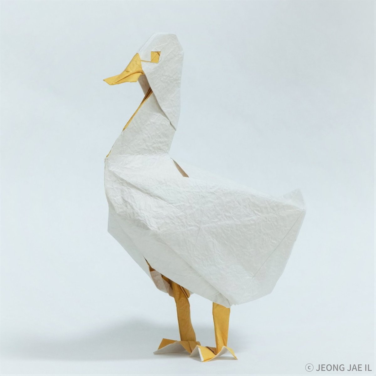 Duck
オリ

2021