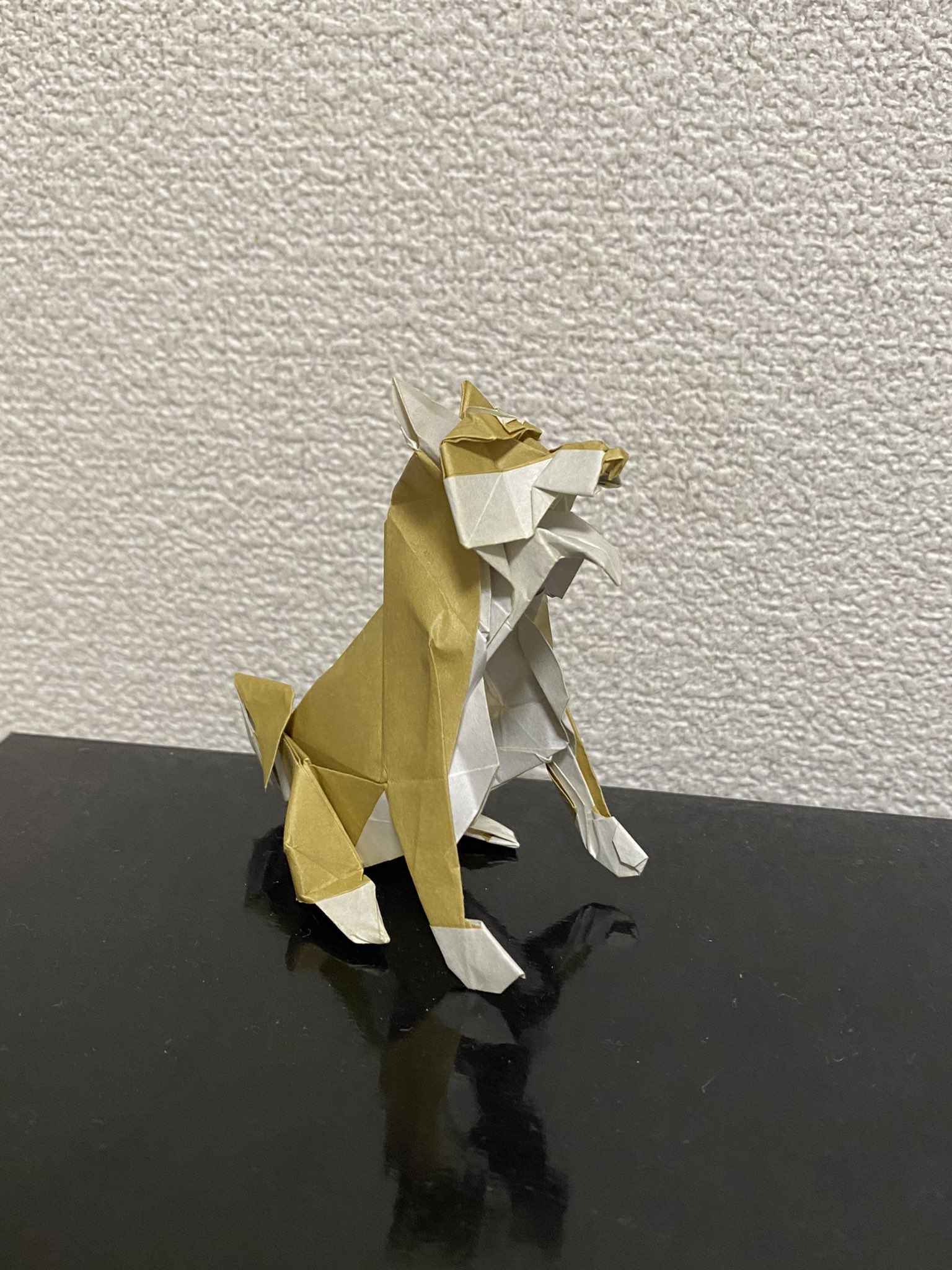折り紙職人 V Twitter 加藤駿さんの 柴犬 Shiba Inu Shun Kato 新世代 究極のおりがみ より 25 折り紙 使用 これ まさに犬 って感じですね 25 でもしっかり折れるのがスゴイ 折り紙作品 柴犬 究極のおりがみ 加藤駿さん 西東社 T Co