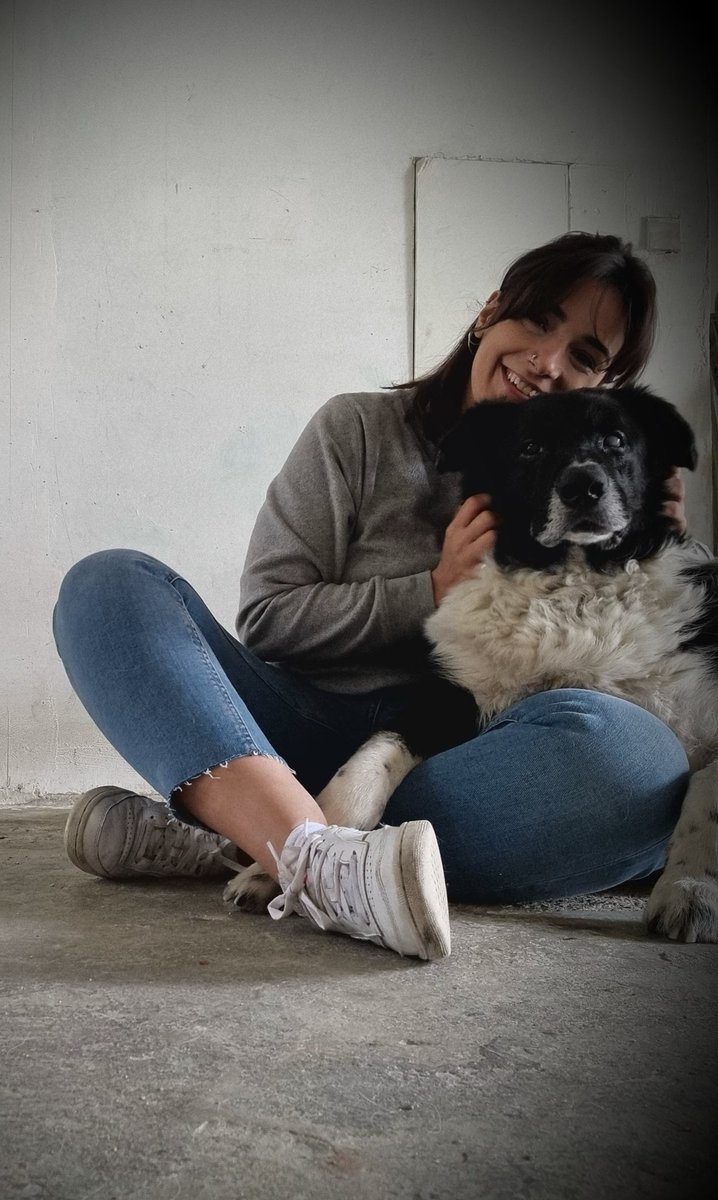 0zgee's tweet photo. Dostumuz Joker imiz 6 yaşına girdi, çok ciddi hastalıklarla savaşti,6 aylıkken 1 sene ömrü kaldı dediklerinde onunla güzel vakit geçirmek için elimizden geleni yaptik, geçen sene bir gözünü kaybetti ama direndi kocaman sevmeyi bize öğrettiğin için çok yaşa Jojom,iyi ki varsın!🎈 https://t.co/GOTZuuO9MO