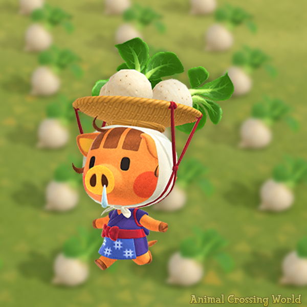 ACWorldBlog's tweet image. Happy Birthday to Daisy Mae! 🎉 #ACNH