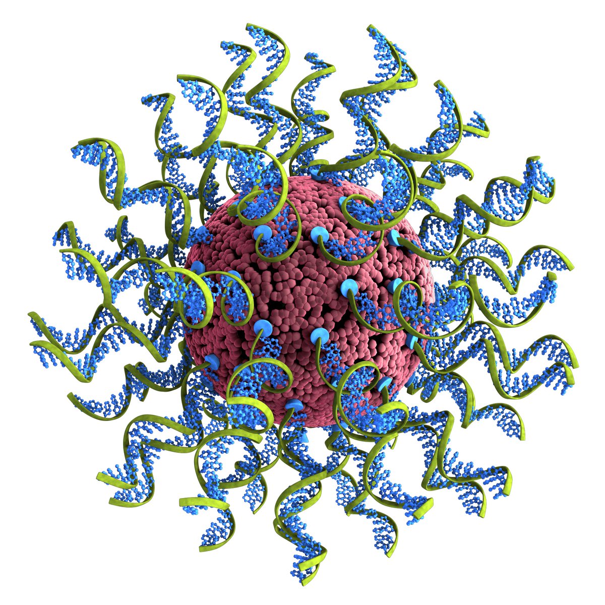 MirkinGroupNU's tweet photo. We are in search of highly accomplished postdoctoral leaders to blaze new trails in our nanobiology subgroup! If you are a recent/upcoming PhD grad, who wants to be challenged at the highest levels, please send a CV and cover letter to: mirkin-manager@northwestern.edu to apply. https://t.co/gIAAysKxRG