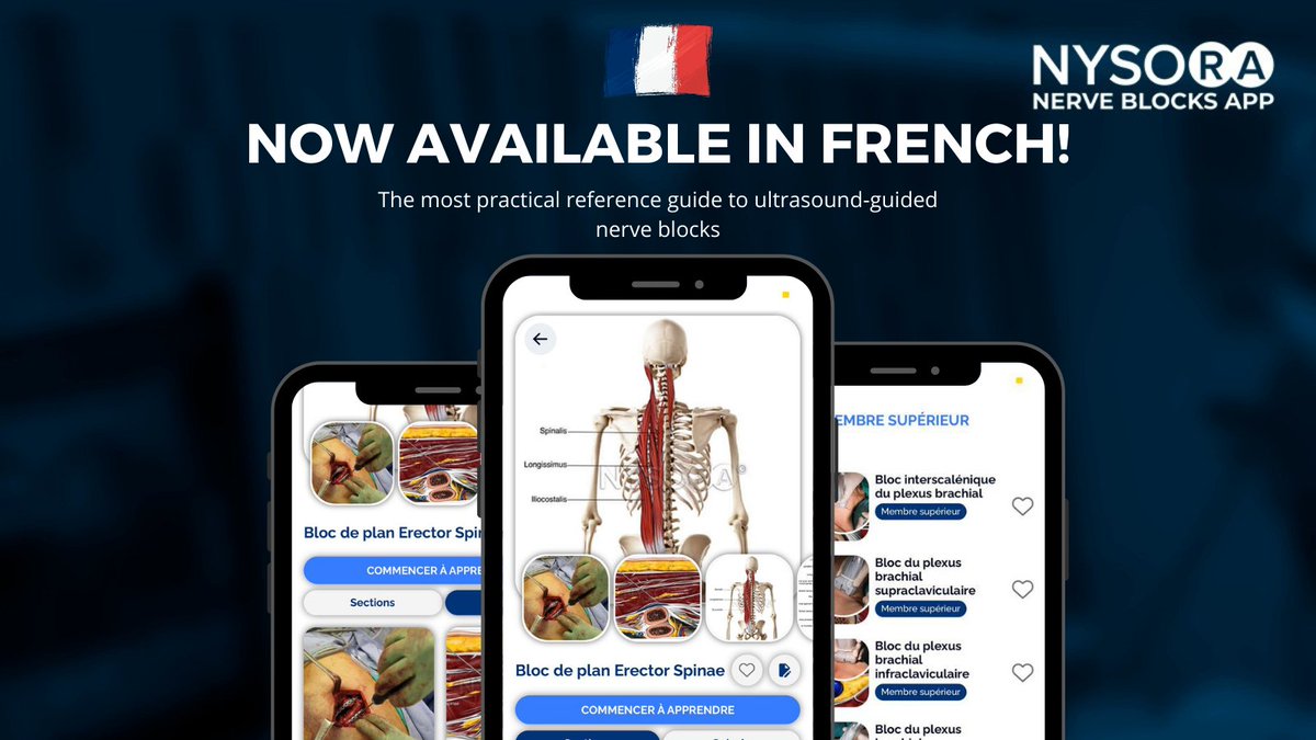 Announcement: NYSORA Nerve Blocks Now Available in French! Responding to the overwhelming request for App translations, we have worked with Drs. Philippe and Nicholas Gautier to offer our French colleagues an option to use the app in their native language. go.nysora.com/nerve-block-ap…