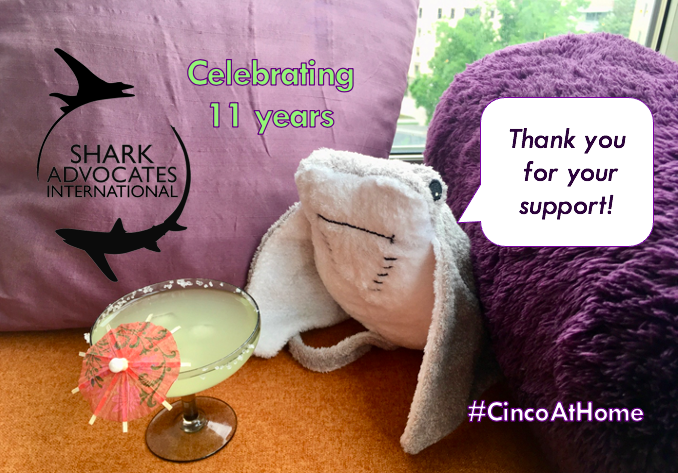 Shark Advocates (@sharkadvocates) on Twitter photo 🎉 Today we celebrate (as festively as possible) our 11th anniversary! Our host - <a href="/oceanfdn/">The Ocean Foundation</a> - featured highlights from our first decade in latest annual report (p. 63: bit.ly/3tqqjRv) and makes it simple to donate to the cause (oceanfdn.org/projects/shark…). THANK YOU! 🙏💕🦈 🎉 Today we celebrate (as festively as possible) our 11th anniversary! Our host - <a href="/oceanfdn/">The Ocean Foundation</a> - featured highlights from our first decade in latest annual report (p. 63: bit.ly/3tqqjRv) and makes it simple to donate to the cause (oceanfdn.org/projects/shark…). THANK YOU! 🙏💕🦈
