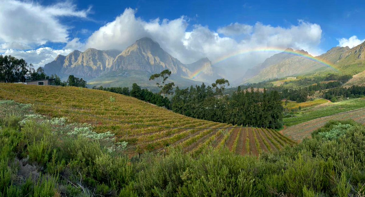 Peter Bee (@mrpbee) on Twitter photo The owner of Rainbows end just sent me a pic of his farm in the Banhoek valley
<a href="/RainbowsEndWine/">Rainbows End Winery</a> The owner of Rainbows end just sent me a pic of his farm in the Banhoek valley
<a href="/RainbowsEndWine/">Rainbows End Winery</a>