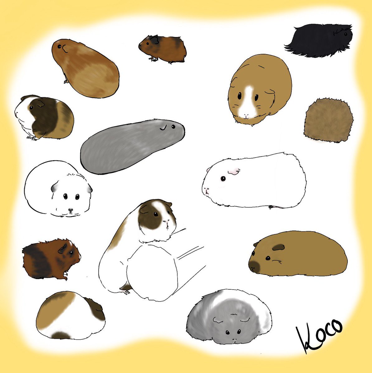 Some #guineapigart . #guineapigs are good for the soul ❤
