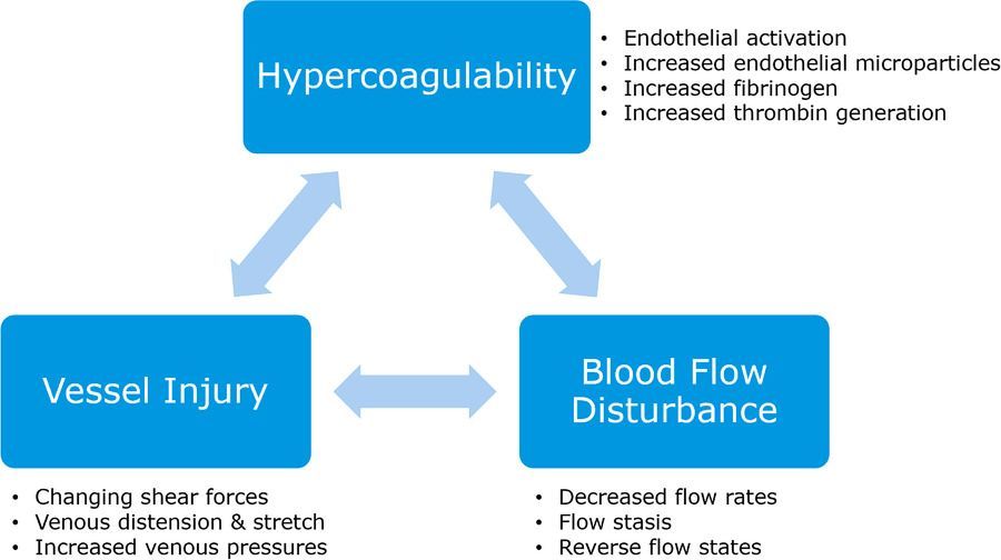 Experimental Physiology (@expphysiol) on Twitter photo Review: The effect of microgravity on the human venous system and blood coagulation: a systematic review <a href="/_davidkim/">David Kim, MD, FRCPC, DAvMed</a> @SergiVaquer @LaraNRoberts1 <a href="/esa/">European Space Agency</a> <a href="/UBC/">University of British Columbia</a> <a href="/CHUVLausanne/">CHUV / Centre hospitalier universitaire vaudois</a> <a href="/KingsCollegeNHS/">King's College NHS</a> @UTMB_PrevMed <a href="/JAXA_en/">JAXA(Japan Aerospace Exploration Agency)</a> <a href="/kingsmedicine/">King's Faculty of Life Sciences & Medicine</a> buff.ly/3eADJoM Review: The effect of microgravity on the human venous system and blood coagulation: a systematic review <a href="/_davidkim/">David Kim, MD, FRCPC, DAvMed</a> @SergiVaquer @LaraNRoberts1 <a href="/esa/">European Space Agency</a> <a href="/UBC/">University of British Columbia</a> <a href="/CHUVLausanne/">CHUV / Centre hospitalier universitaire vaudois</a> <a href="/KingsCollegeNHS/">King's College NHS</a> @UTMB_PrevMed <a href="/JAXA_en/">JAXA(Japan Aerospace Exploration Agency)</a> <a href="/kingsmedicine/">King's Faculty of Life Sciences & Medicine</a> buff.ly/3eADJoM