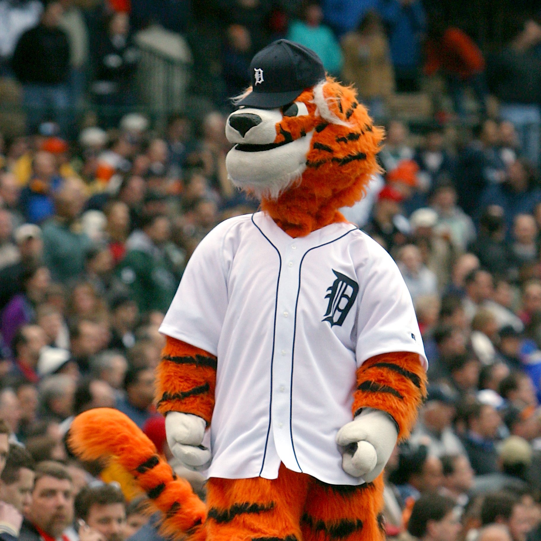 detroit tigers mascot paws