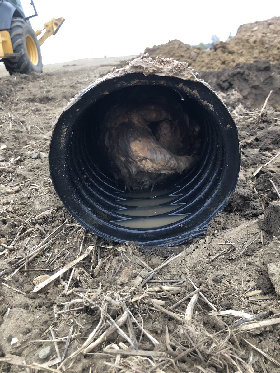 Remarkable the headaches that rodents can cause. This guy made it over 1000 feet up an 8" main before getting stuck