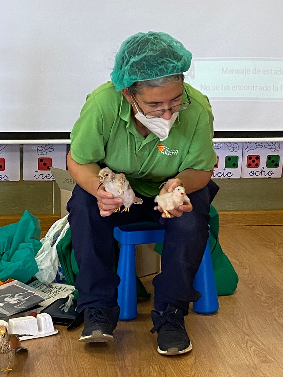CEBIP_FGL's tweet photo. 📢Seguimos trabajando en nuestro lema "Me cuido, te cuido y cuidamos el entorno"🦅🌲🏞️ de la mano de @GREFA_Fauna , que nos cuentan la importancia de respetar la fauna de nuestra Comunidad y proteger sus espacios naturales. 
‼️Cuánto aprendemos‼️#educacion #naturaleza #FGL https://t.co/XoWCCiqEp1