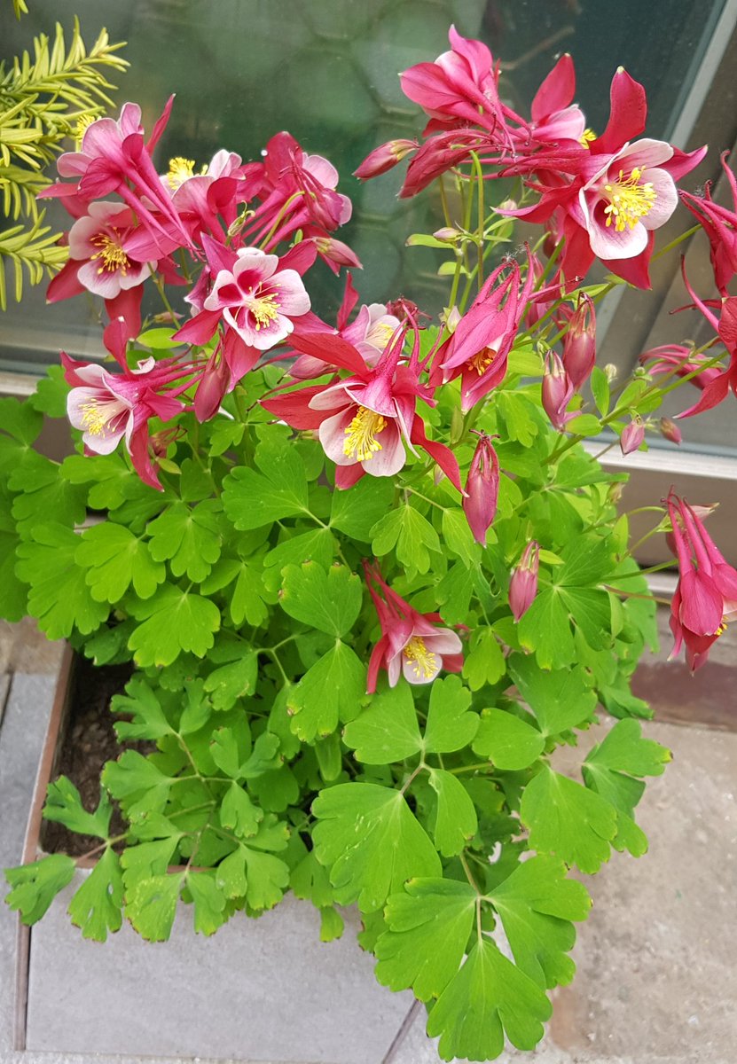 산3 (@kyoungjabea) on Twitter photo 