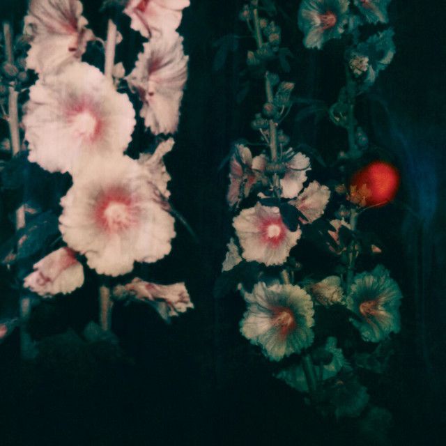 Eli &amp; Fur share a deep-house influenced remix of Fougére's "Still Life"
buff.ly/3b2sHrw #quiplisten <a href="/StudioFougere/">Jamie Norton</a>