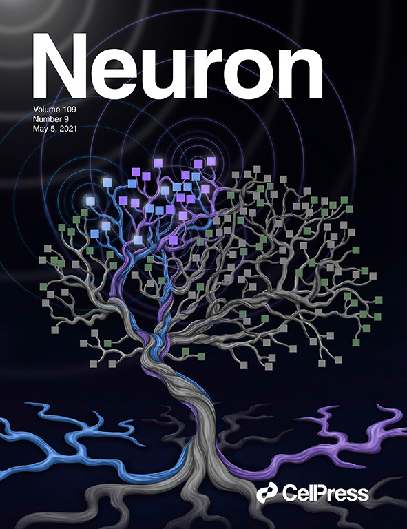 mikhailshapiro's tweet photo. Thanks to @NeuroCellPress for featuring this work on its cover! Congrats again to co-authors @SumnerLN, @DMarescalab, @VasileiosChris2, @WhitneySGriggs, @CharlieDemene @TanterM, Richard Andersen, and thanks to the talented @maayanvisuals! https://t.co/TKxAPe9YLK