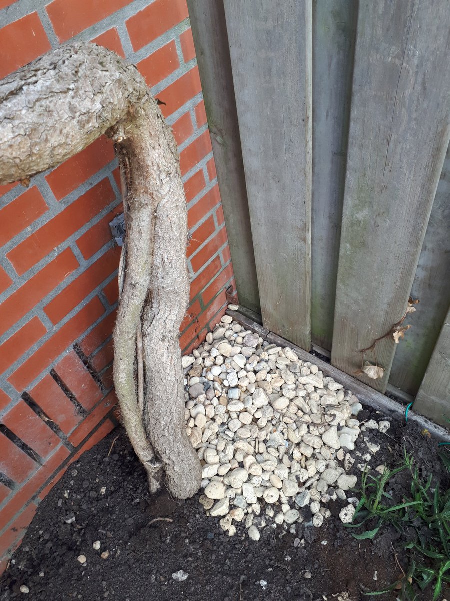 Jan Willems tweet media