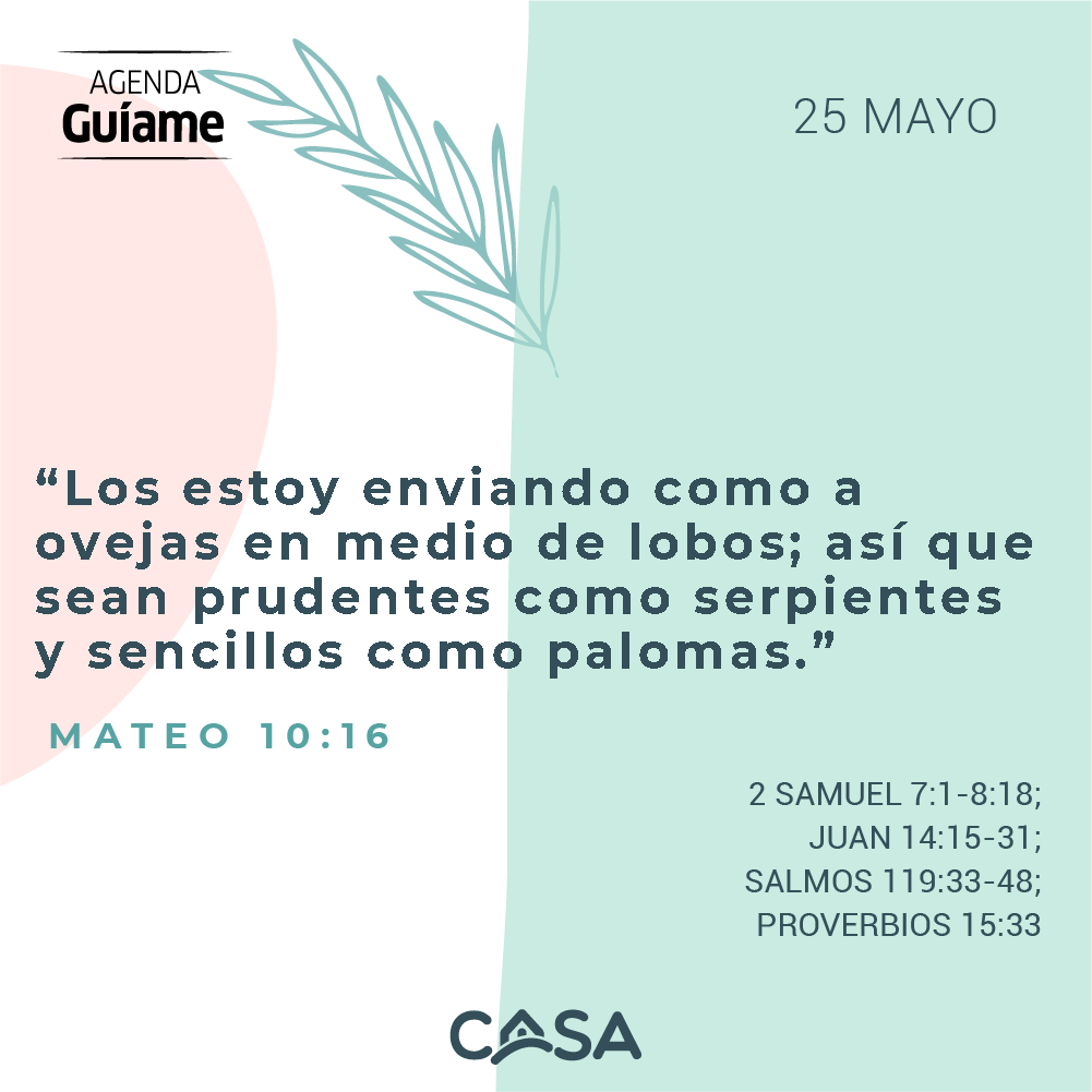 CASA tweet media